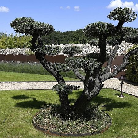 Bastide Des Demoiselles Bed & Breakfast Roussillon en Isere Exterior foto