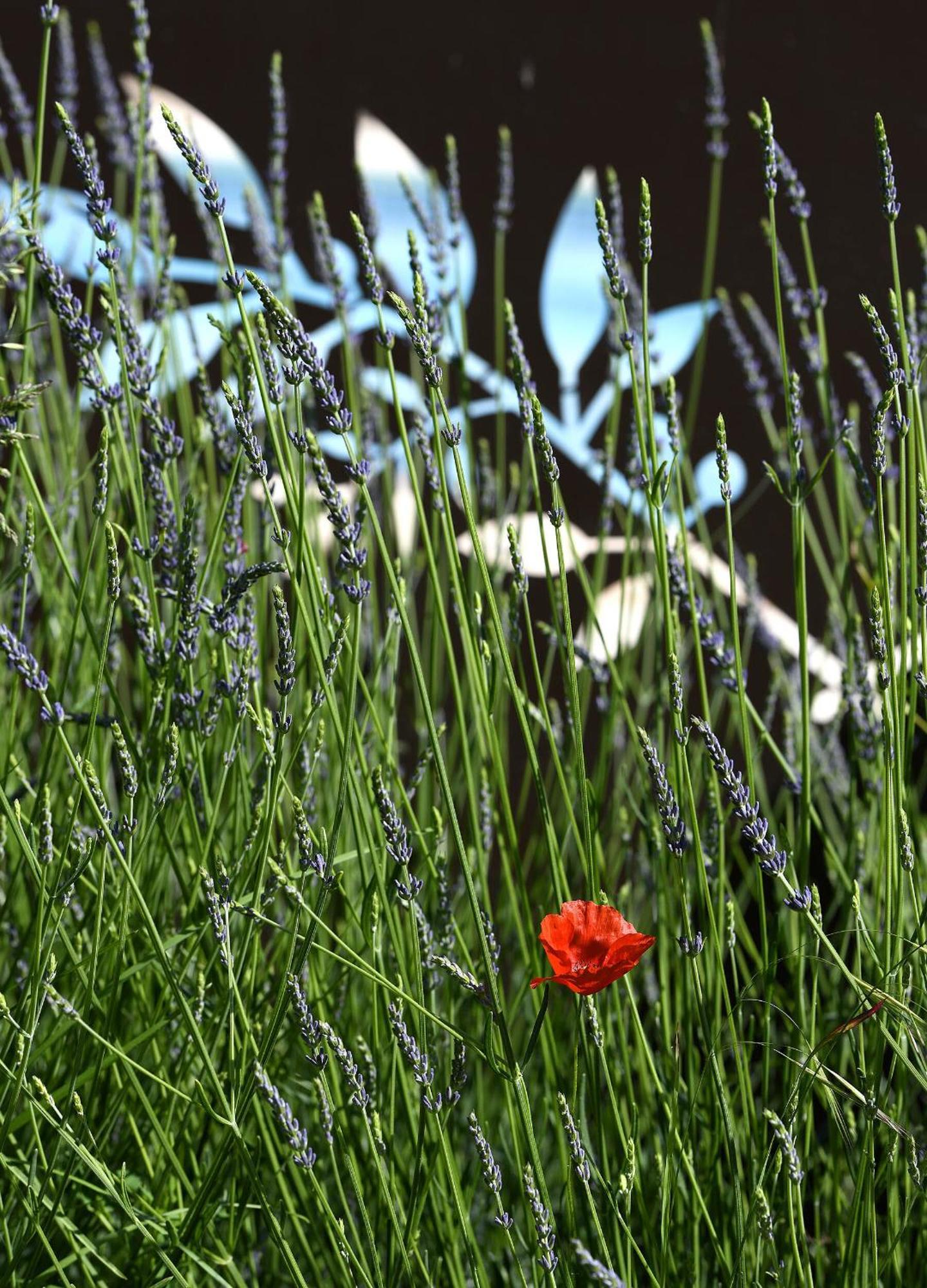 Bastide Des Demoiselles Bed & Breakfast Roussillon en Isere Exterior foto