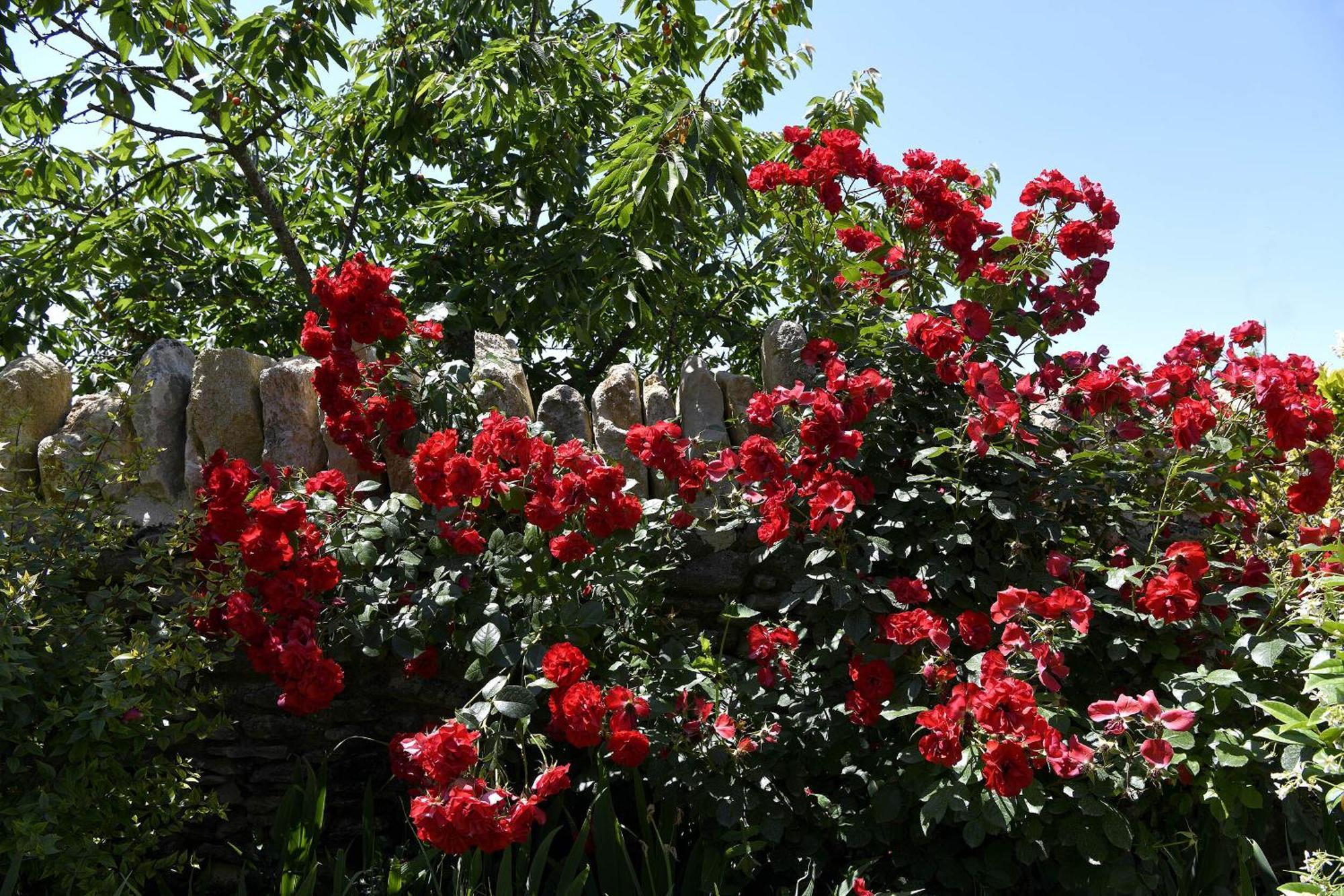 Bastide Des Demoiselles Bed & Breakfast Roussillon en Isere Exterior foto