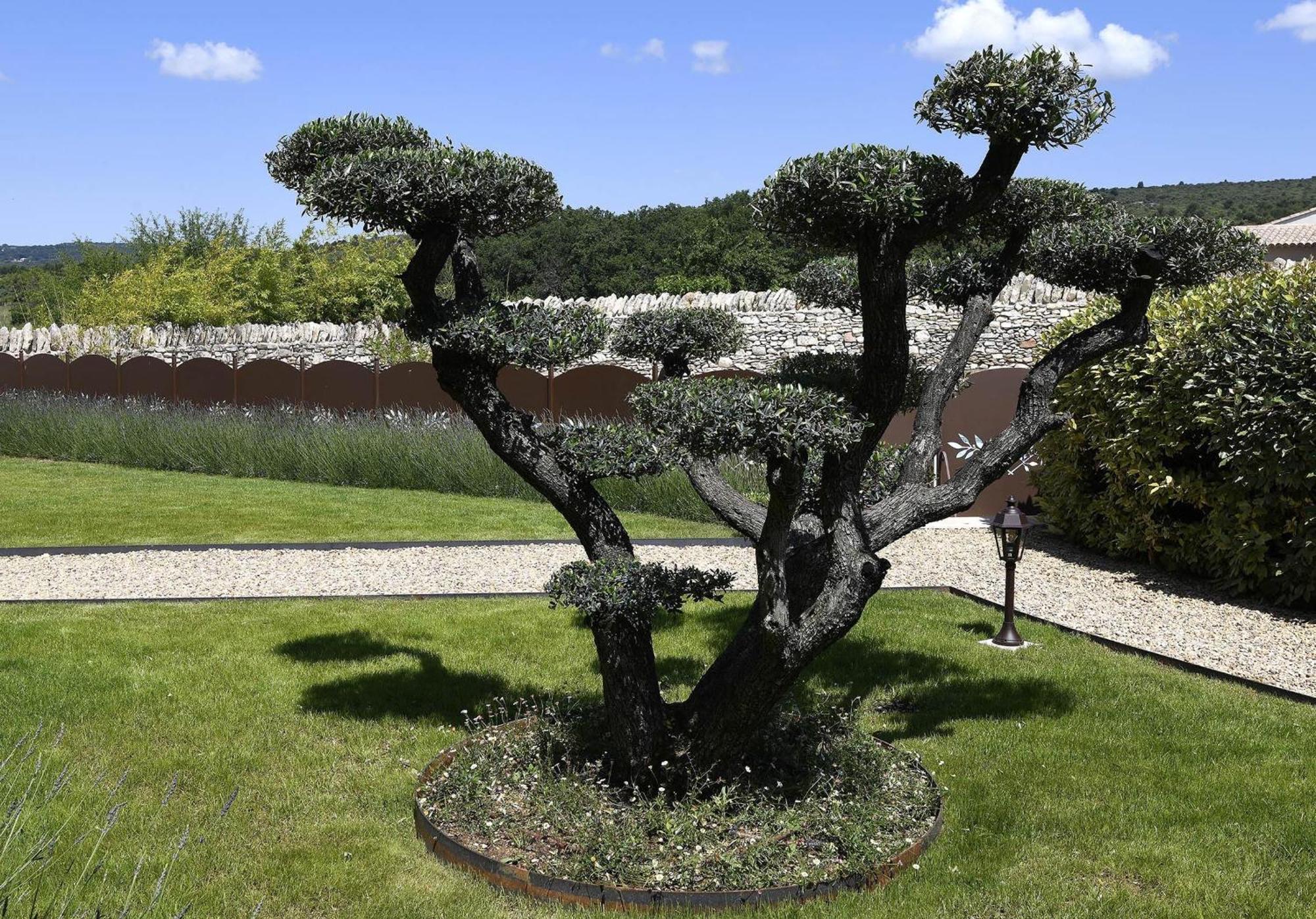 Bastide Des Demoiselles Bed & Breakfast Roussillon en Isere Exterior foto